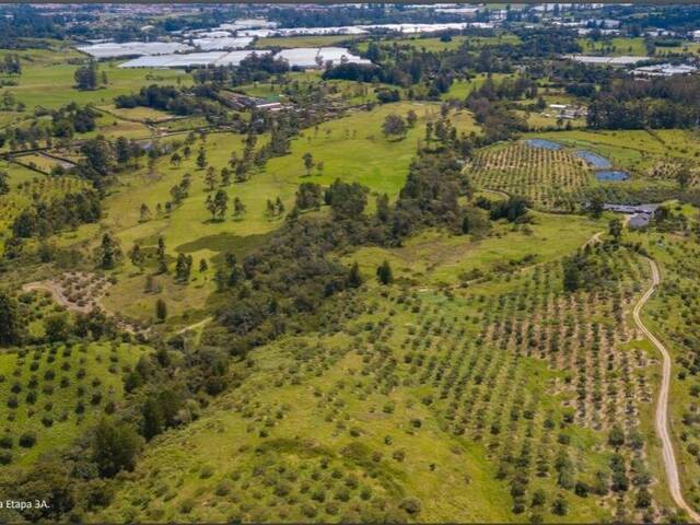 #4821 - Terreno para Venta en Rionegro - ANT - 1