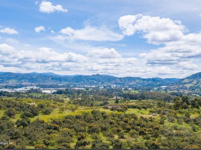 #4821 - Terreno para Venta en Rionegro - ANT - 2
