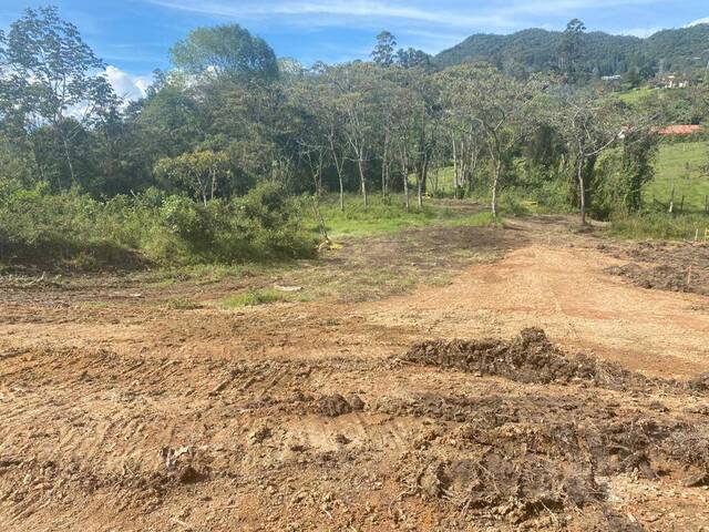 Terreno para Venta en La Ceja - 5