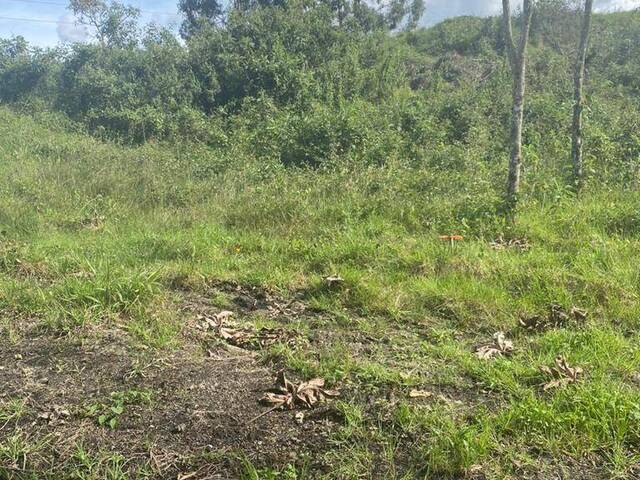 Terreno para Venta en La Ceja - 4