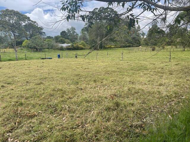 #4816 - Terreno para Venta en Rionegro - ANT - 1