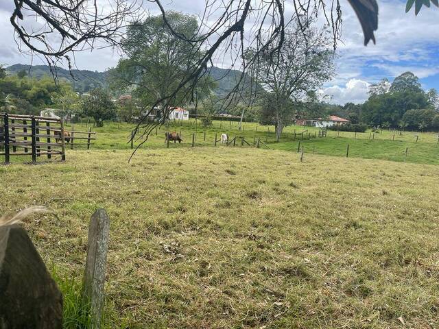 Terreno para Venta en Rionegro - 4