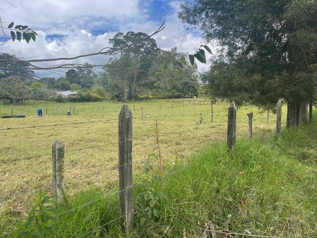 Terreno para Venta en Rionegro - 5