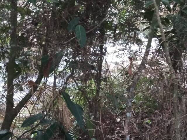 Terreno para Venta en La Ceja - 4