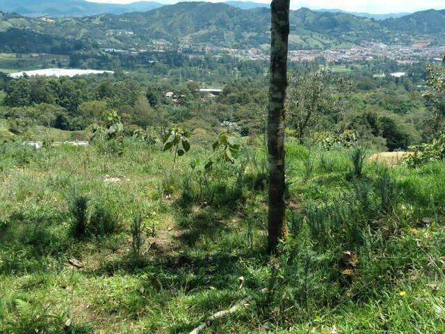 Terreno para Venta en La Ceja - 5