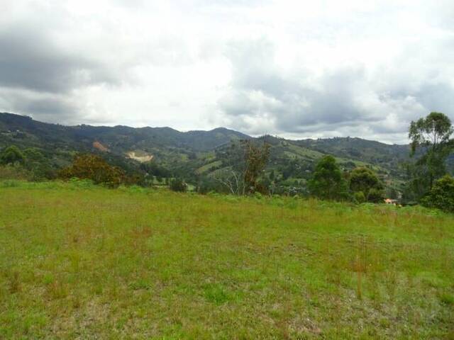 Terreno para Venta en Envigado - 4