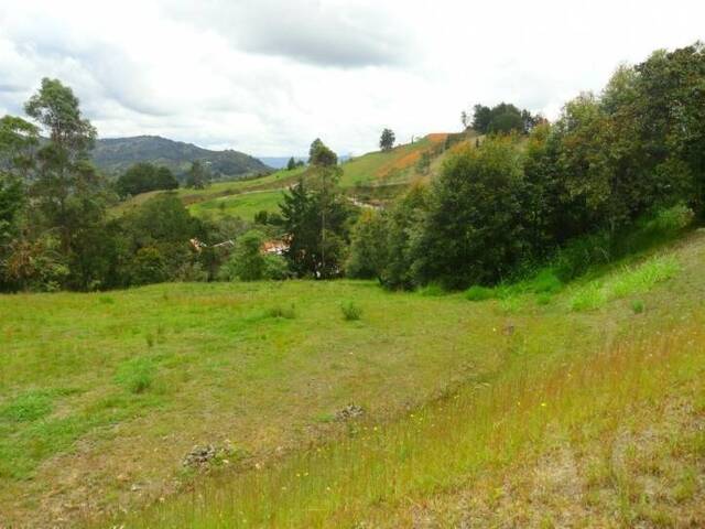 Terreno para Venta en Envigado - 5
