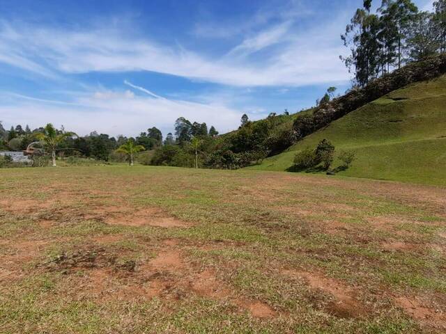 Terreno para Venta en Carmen de Viboral - 4
