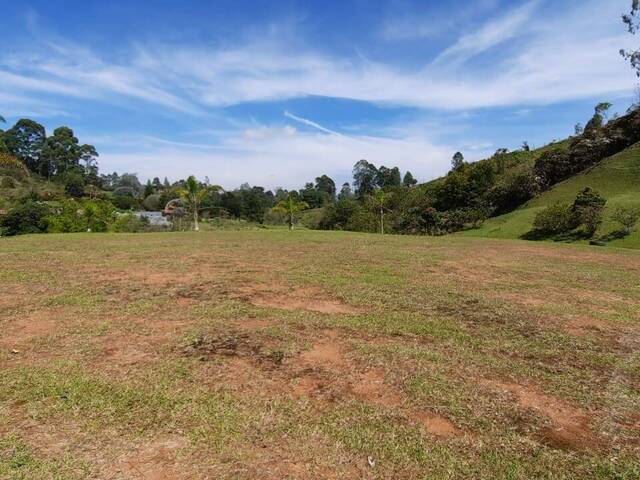 Terreno para Venta en Carmen de Viboral - 5