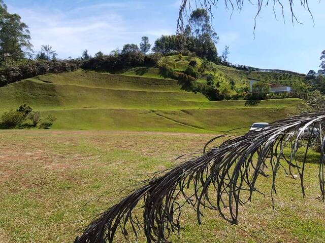 Venta en Vereda el salado - Carmen de Viboral