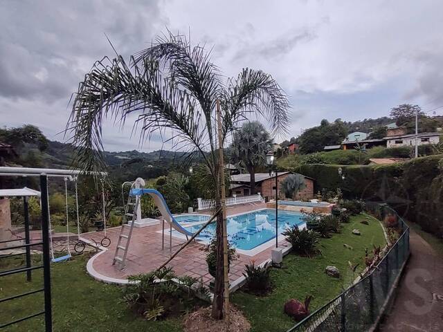 Finca para Venta en Fredonia - 4