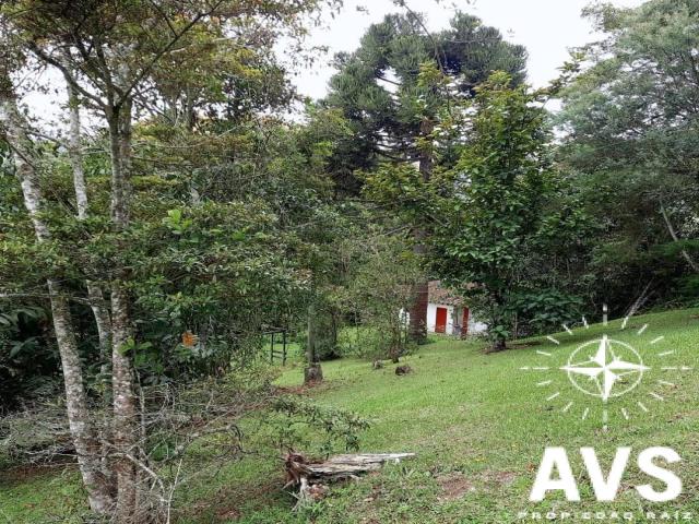 #4859 - Finca para Venta en Rionegro - ANT - 3