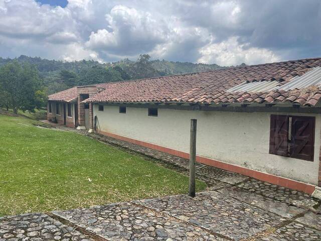 Finca para Venta en Rionegro - 4