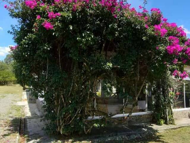 #4431 - Casa para Venta en Rionegro - ANT