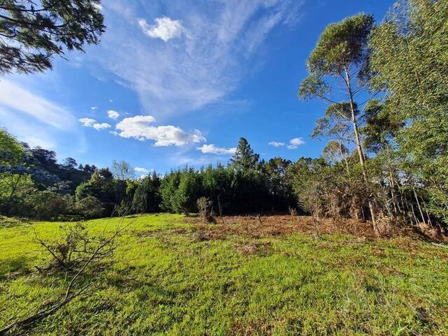 #4875 - Terreno para Venta en Rionegro - ANT - 1