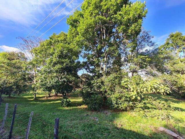 #4875 - Terreno para Venta en Rionegro - ANT - 2