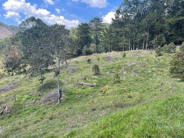 Industrial para Venta en Rionegro - 4