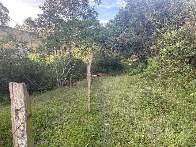 Terreno para Venta en Carmen de Viboral - 2