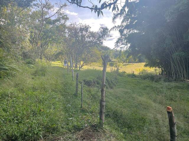 Terreno para Venta en Carmen de Viboral - 3