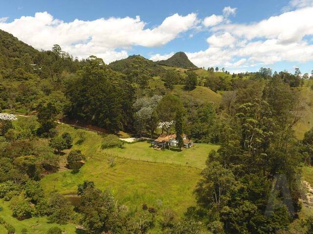 Finca para Venta en Rionegro - 4