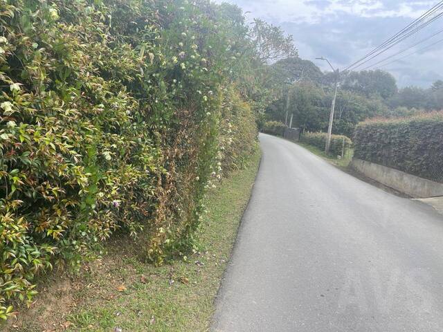 Terreno para Venta en Rionegro - 4