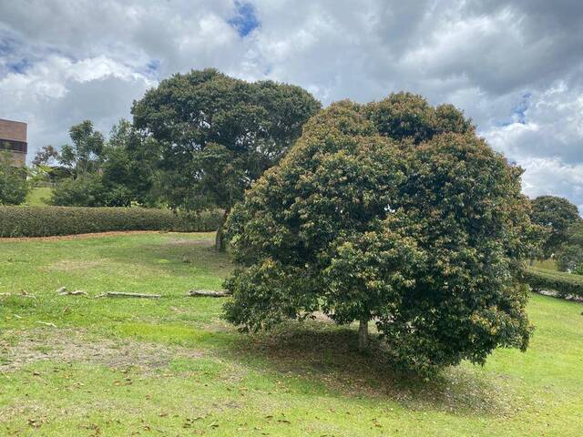 Terreno para Venta en Rionegro - 5