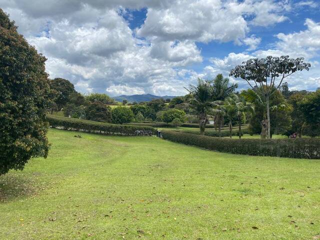 Terreno para Venta en Rionegro - 4