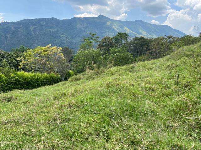 Terreno para Venta en Venecia - 5