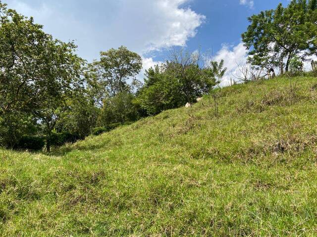 Terreno para Venta en Venecia - 4