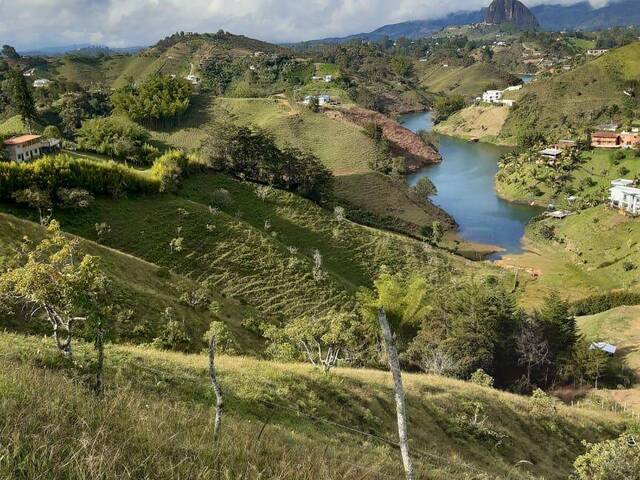 Terreno para Venta en Peñol - 4