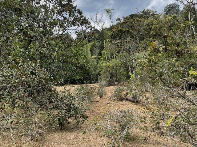Terreno para Venta en Rionegro - 5