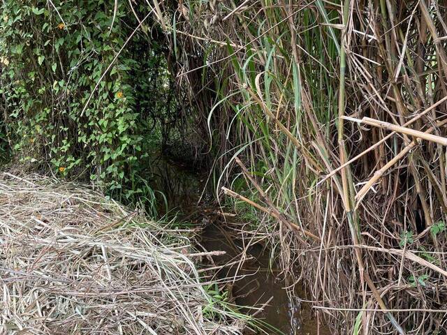 Terreno para Venta en Rionegro - 4