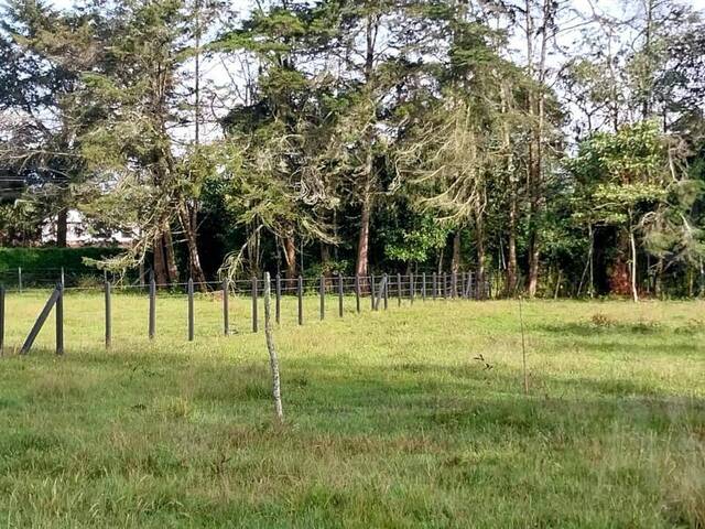 Terreno para Venta en Rionegro - 5