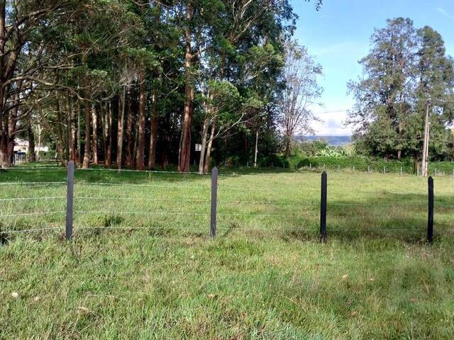Terreno para Venta en Rionegro - 4