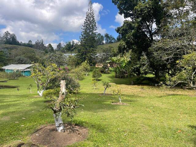 Casa para Venta en Rionegro - 4