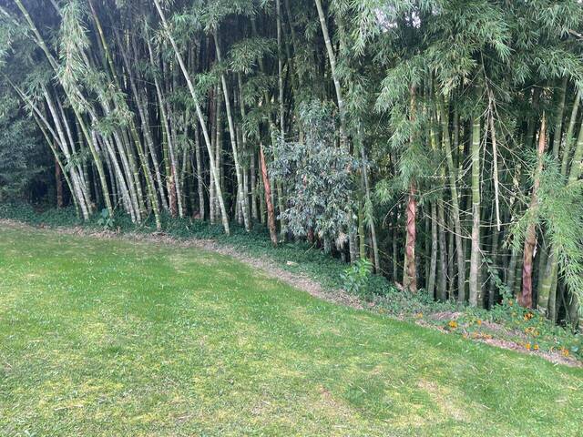 Casa para Venta en Rionegro - 5