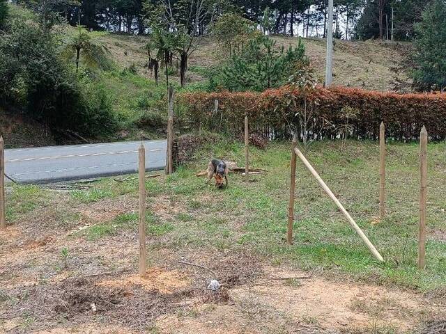 Terreno para Venta en Rionegro - 5