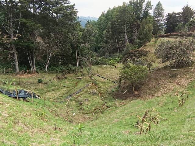 Terreno para Venta en Rionegro - 4