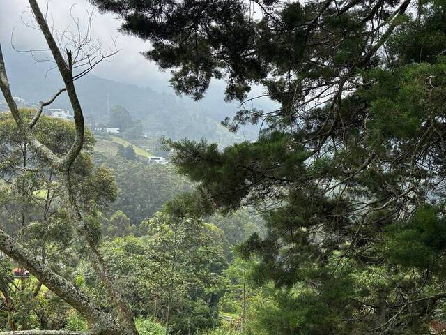 Terreno para Venta en Medellín - 4