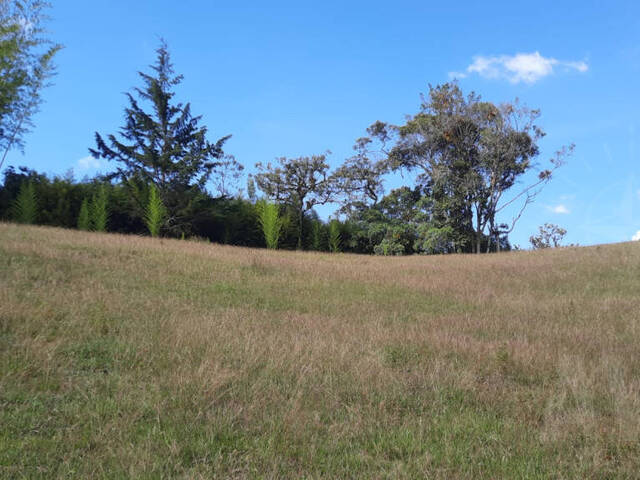 Terreno para Venta en Retiro - 4