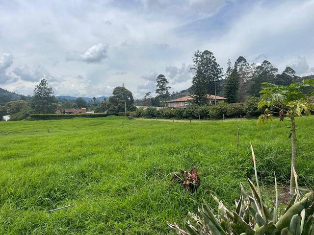Terreno para Venta en Rionegro - 4
