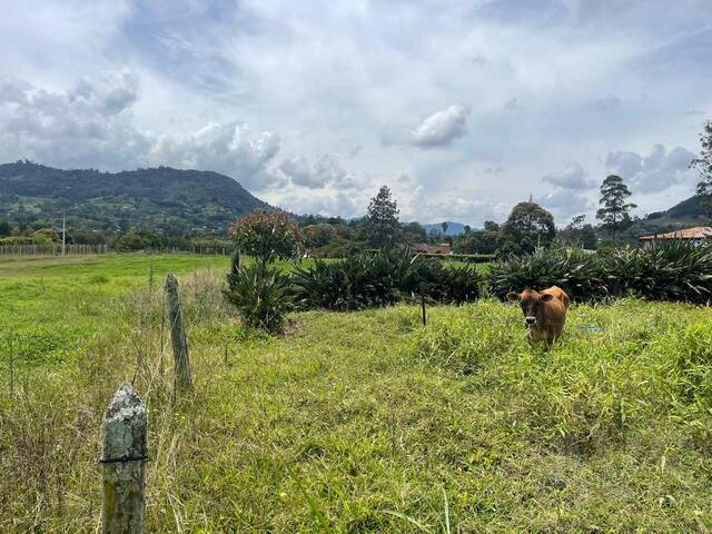 Terreno para Venta en Rionegro - 5