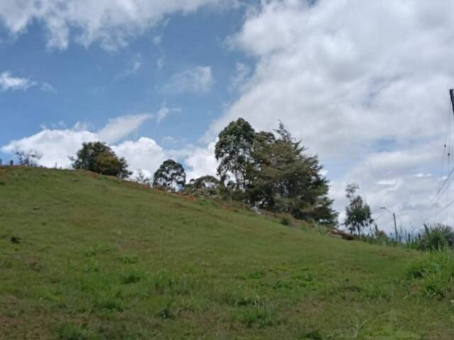 Industrial para Venta en Carmen de Viboral - 4