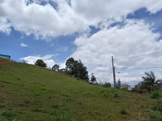 Industrial para Venta en Carmen de Viboral - 5