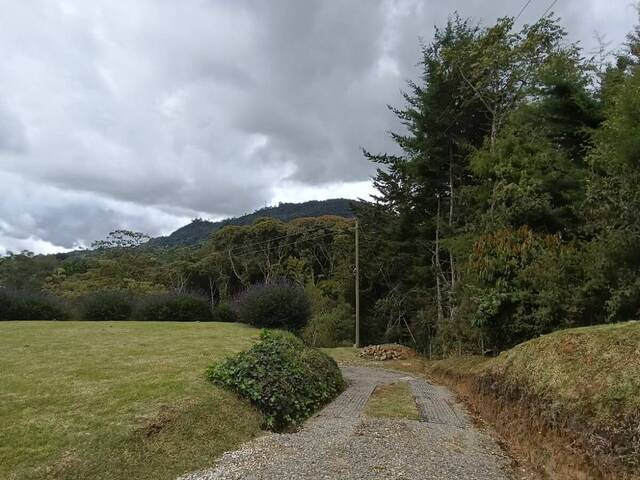 #5043 - Casa para Venta en Rionegro - ANT - 3