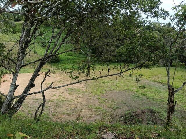 #5045 - Terreno para Venta en Rionegro - ANT - 2