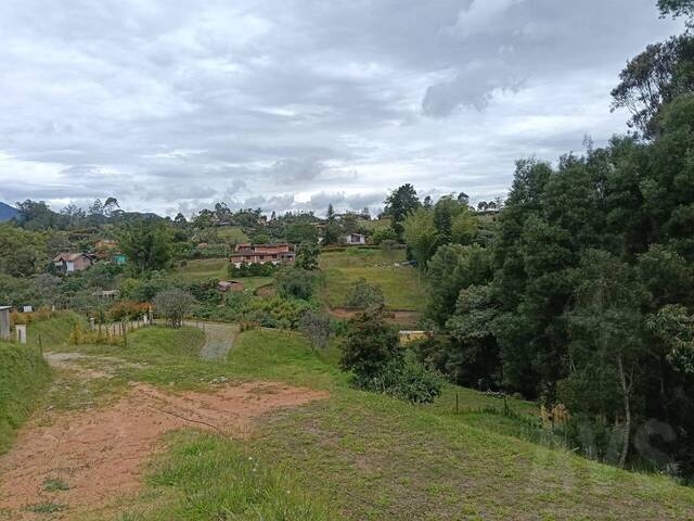 #5045 - Terreno para Venta en Rionegro - ANT - 3