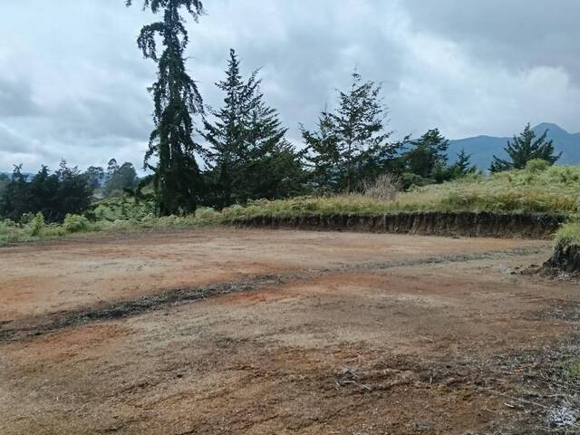 #5046 - Industrial para Venta en Rionegro - ANT - 3