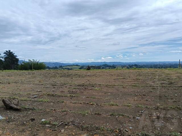 Terreno para Venta en Rionegro - 4