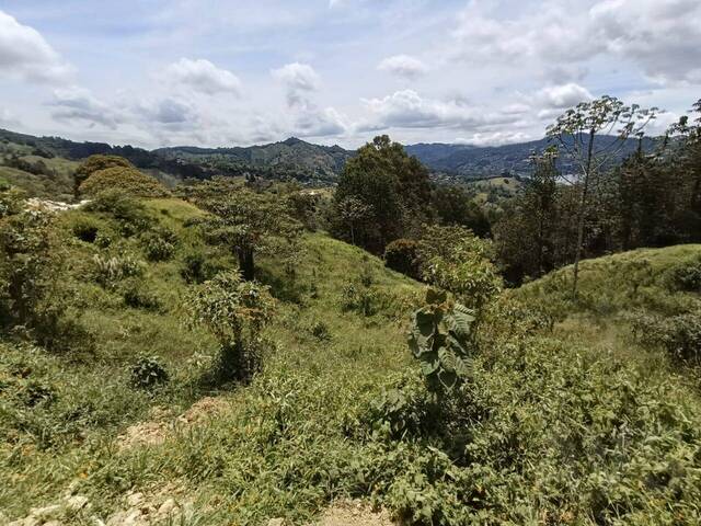 Terreno para Venta en Retiro - 5